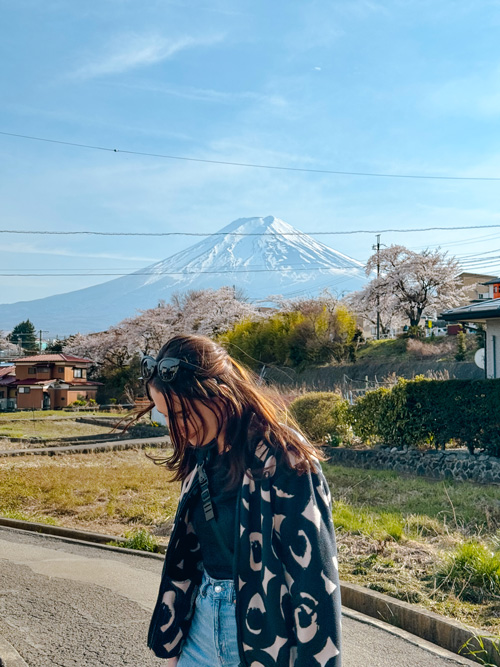 nele in front of mount fuji on a clear sunny day