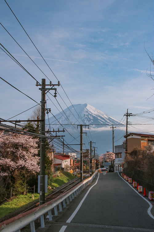 mount fuji with powerlines and cherry blossom trees in front of it on a quiet street