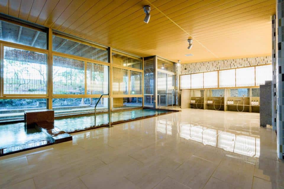 mount fuji view onsen