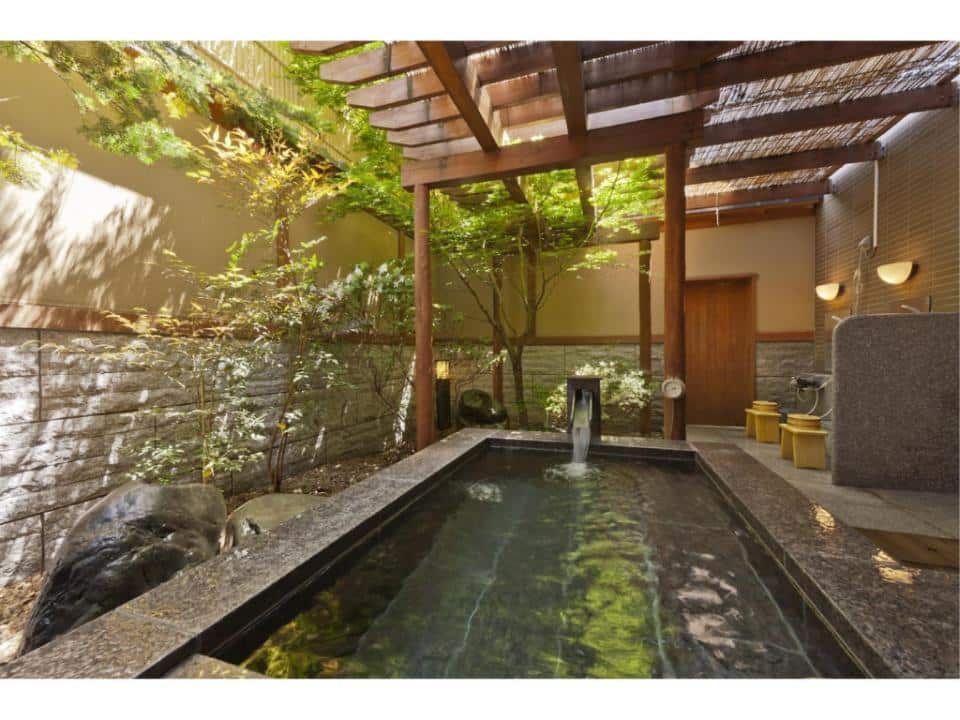mount fuji onsen