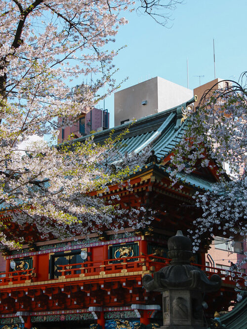 akihabara shrine