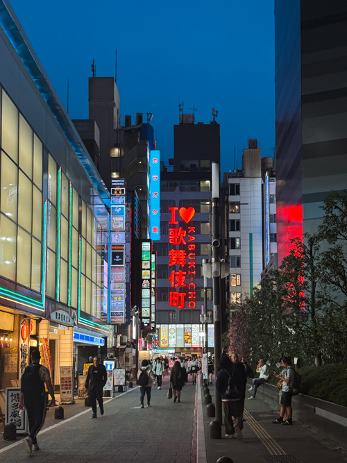 kabukicho at night