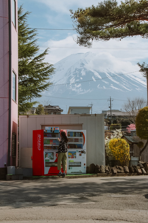 nele at mount fuji