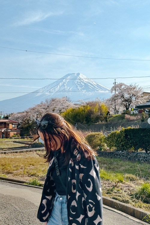 nele with mount fuji nele with mount fuji
