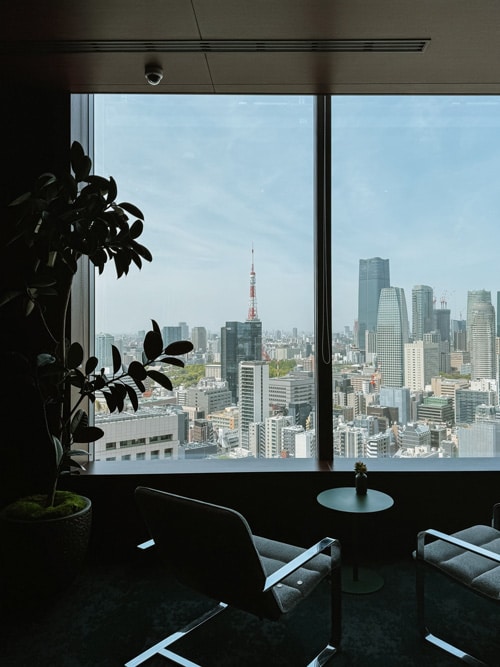 park hotel view