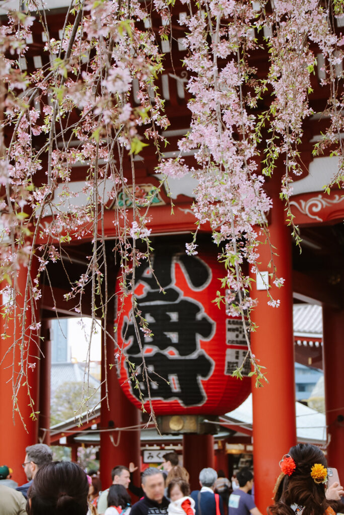 sensoji temple