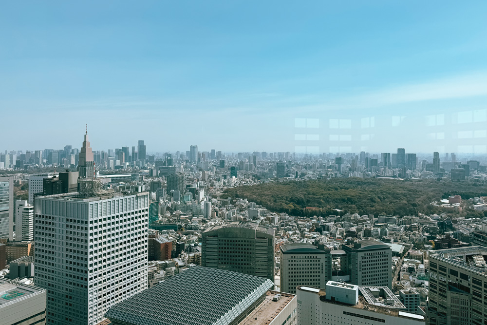 shinjuku government building view