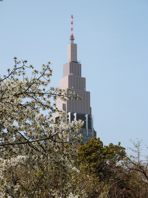 shinjuku gyoen park