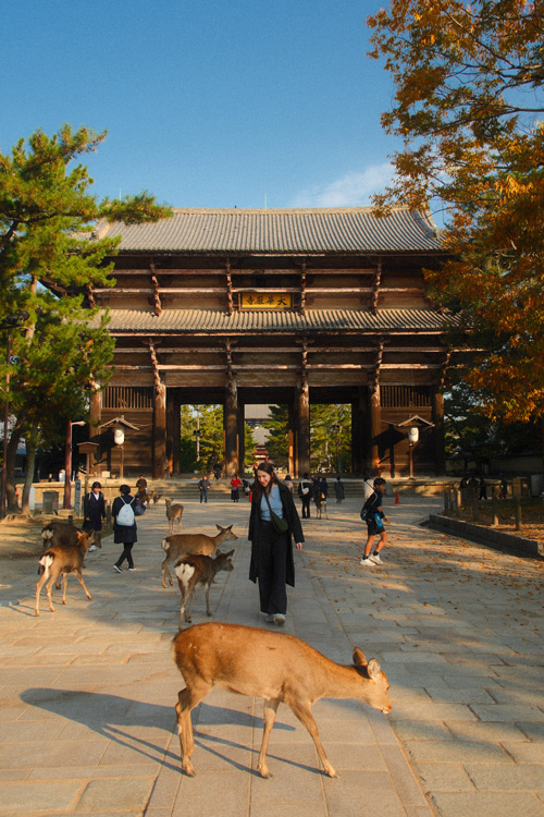 Nandaimon gate nara Nandaimon gate nara