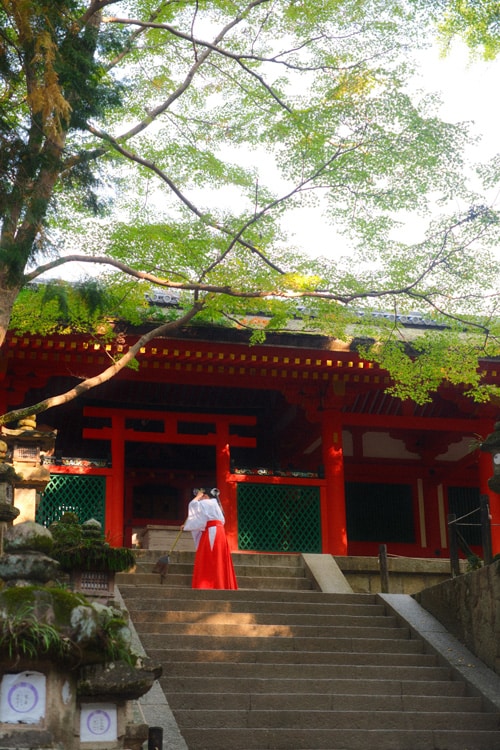 kasuga shrine nara