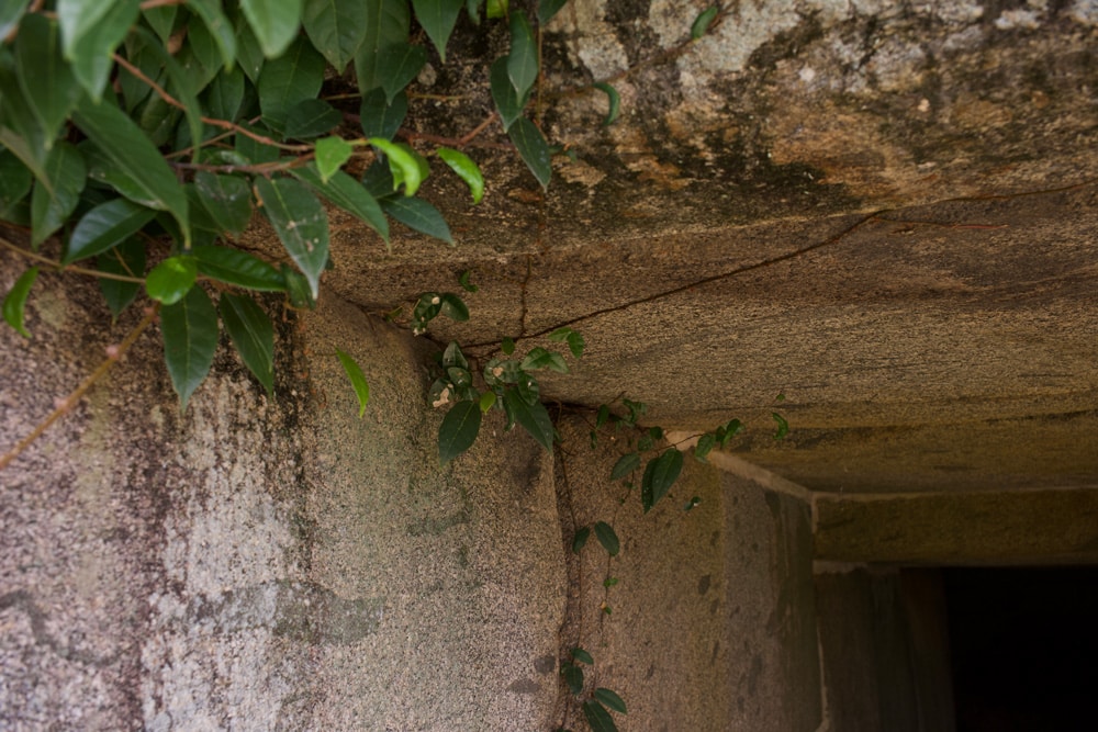 Iwayama Kofun Tumulus
