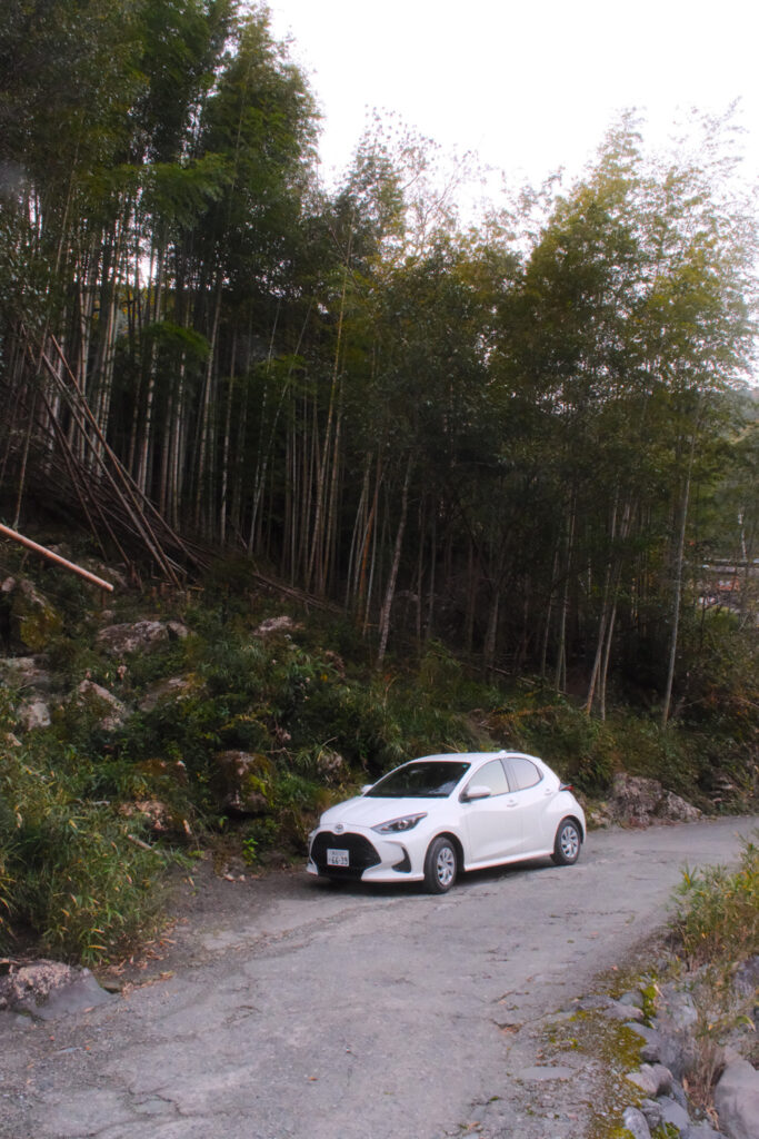 car shikoku bamboo