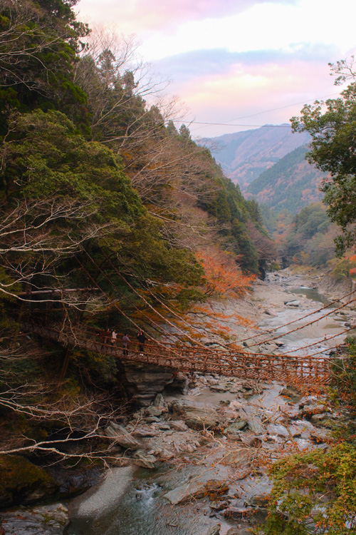 iya valley vine bridge