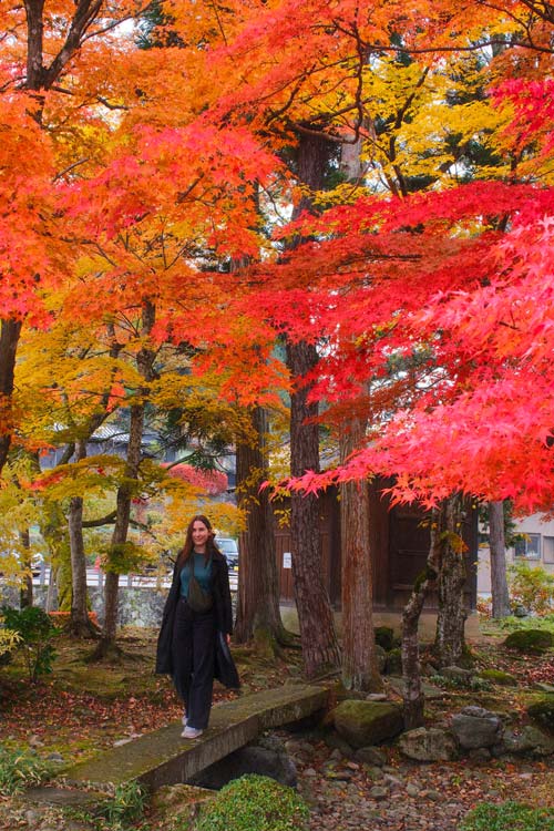 nele walking under bright autumn foliage in takayama