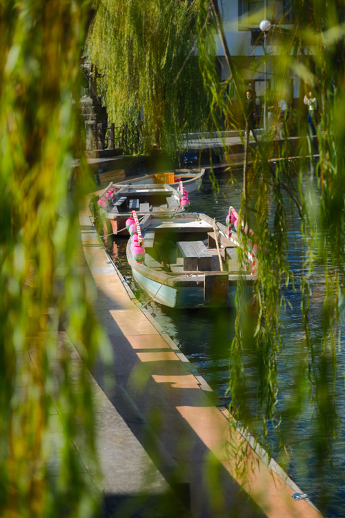 yanagawa canal boat and willow tree