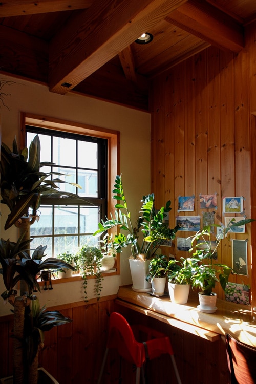 unzen onsen cafe