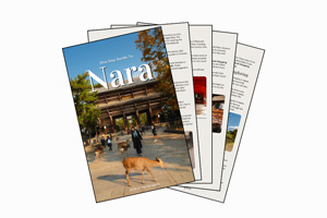 nara navigatio ebook