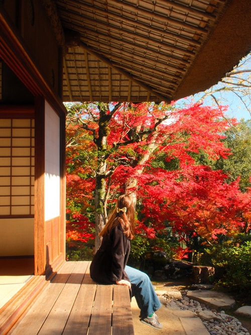nele in shikoku