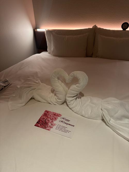 nest hotel tokyo towel swans for honeymoon