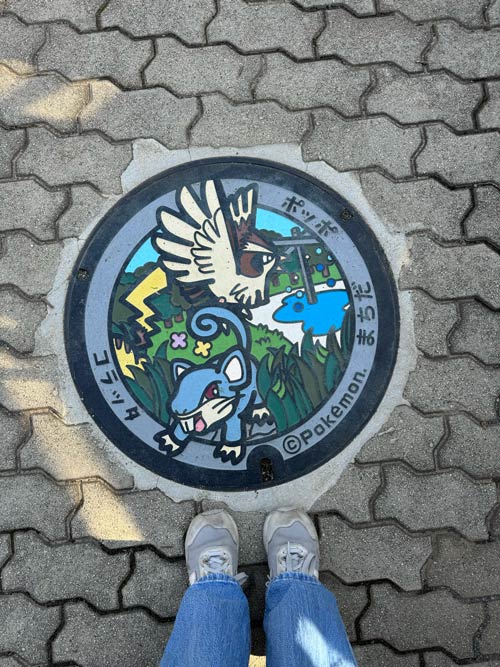 pidgey and rattata pokemon manhole cover in the shade with neles shoes