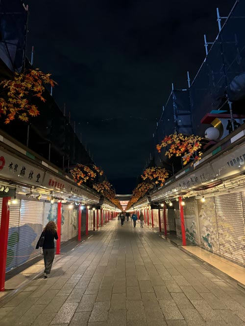 sensoji temple street at night