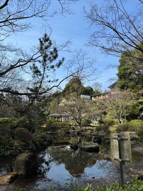 a lake and trees inside serigaya park in machida tokyo on a sunny day