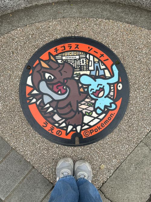 wynaut and tyrunt pokemon manhole covers in ueno park tokyo
