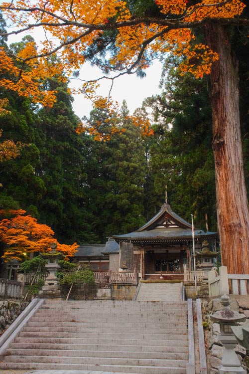 Keta Wakamiya Shrine inner building with stone steps and autumn leafs around it