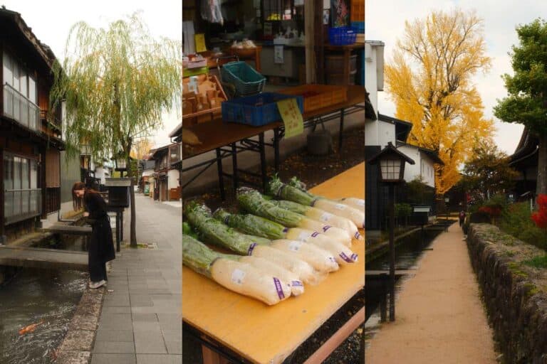 nele near the canals in hida furukawa, a few daikons on a wooden table, and a street in hida furuakwa with gingko tree and wooden lanterns