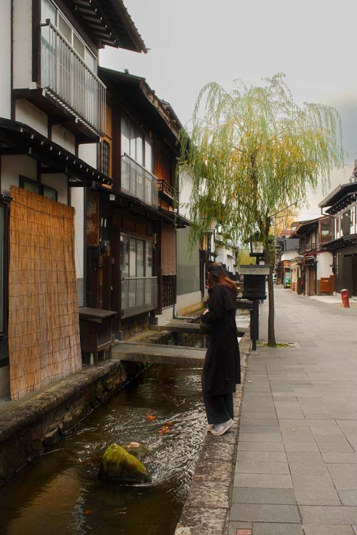 nele standing near the canal in hida furukawa looking at the koi fish, a willow tree and traditional japanese houses on the side